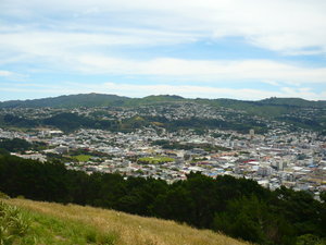 Wellington from Mt Victoria