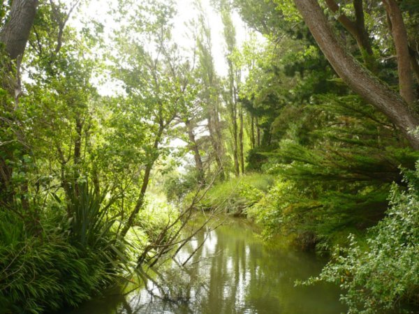 Waikanae River
