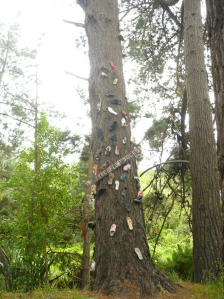 The Tree Of Lost Soles