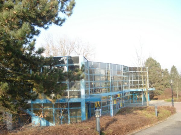 The University Cafeteria