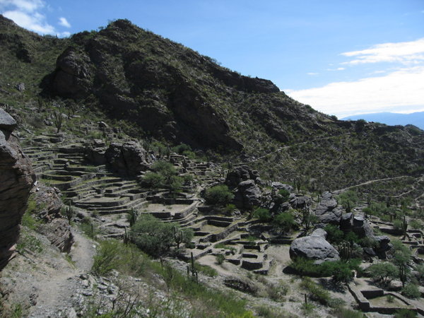 Ruines of Quilmes