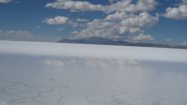 Reflection in the Salt Flats