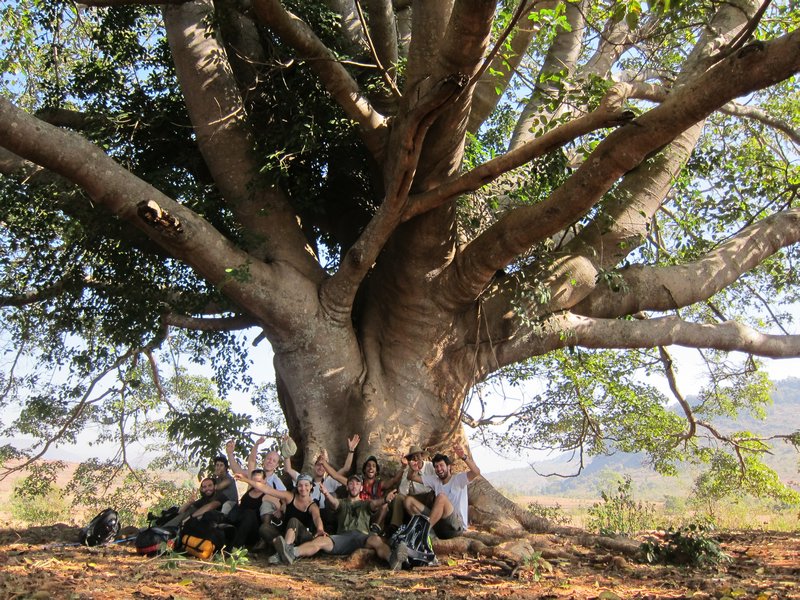 Group shot under a huge tree