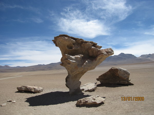 Dette "steintreet" er kjent i hele Sør-Amerika