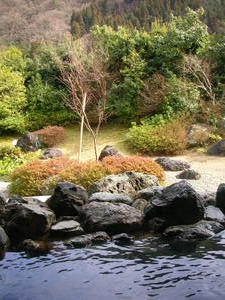 peaceful scenery