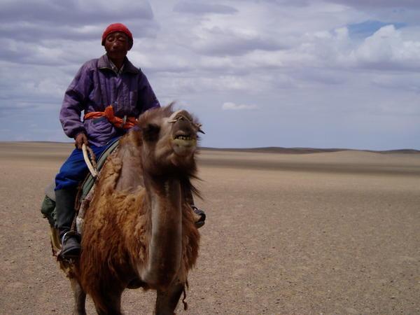Nomadic Camel herder - Gobi