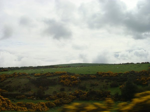 Wicklow countryside