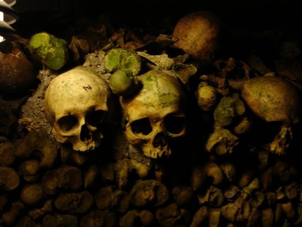 Skulls in the Catacombs