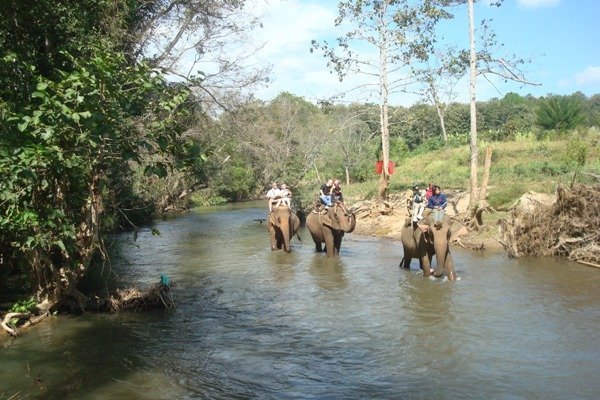 Elephant ATV
