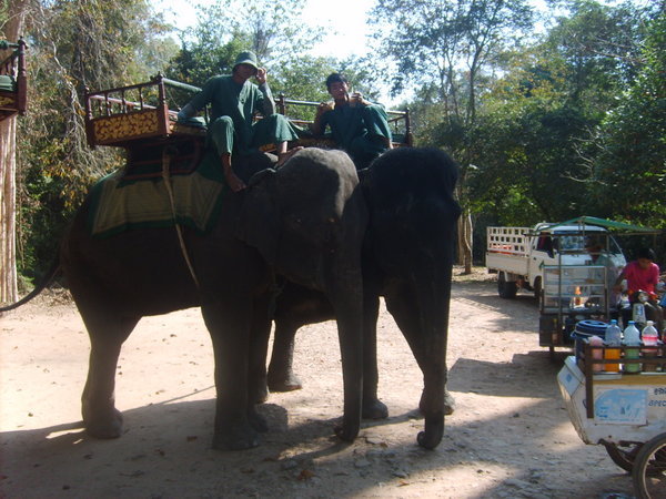 Elephants in Angkor