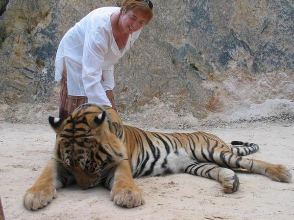 Me and the tiger