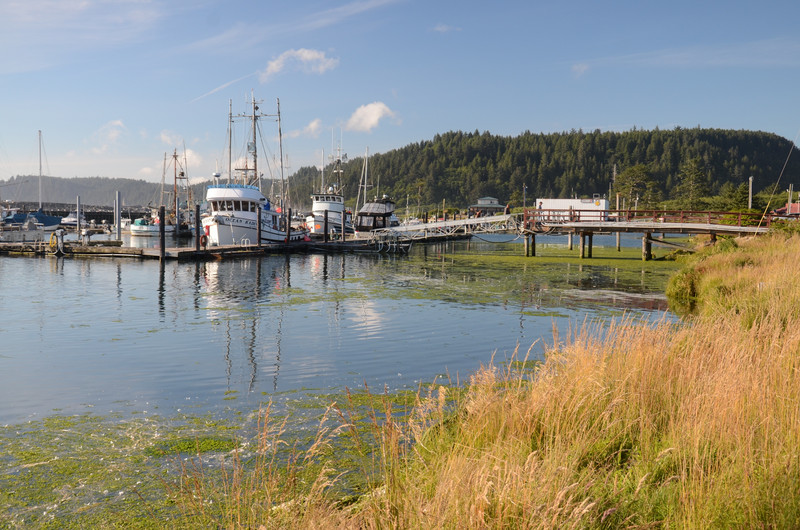 Fishing harbor in La Push, the Quileute Indian Reservation