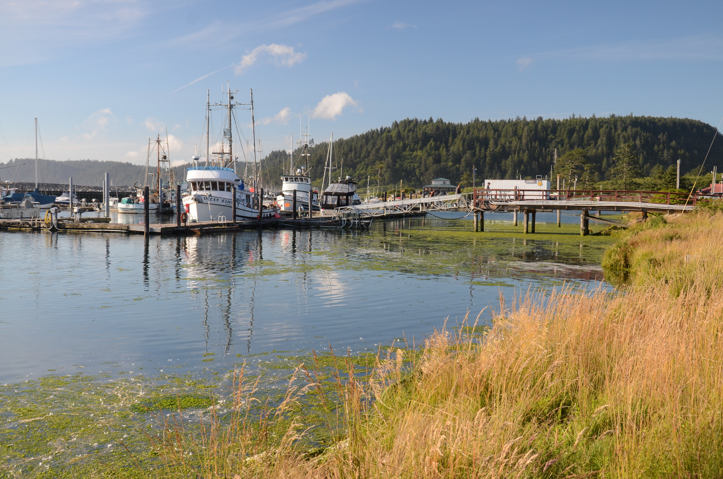 Fishing harbor in La Push, the Quileute Indian Reservation | Photo