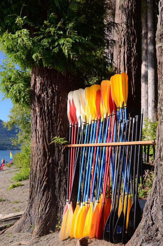 Paddles at the ready on Lake Quinault's beach