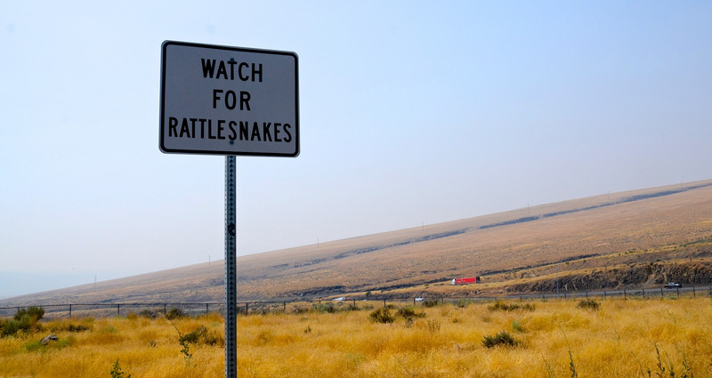 Watch for rattlesnakes at Route 82 rest stop
