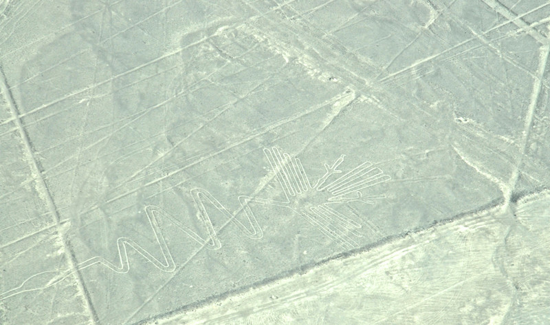 Image of the Heron in the Nazca Lines 