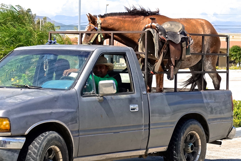 Horse-truck gas station stop... beer and gas for the truck, what's for the horse?