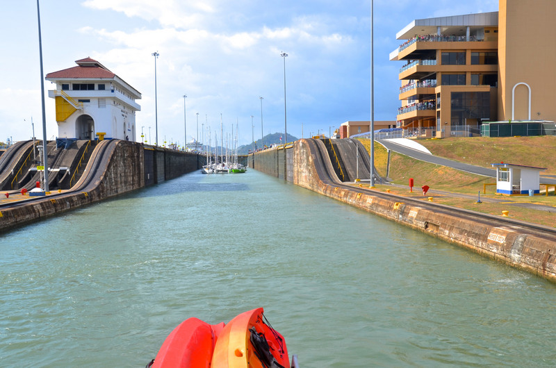 Mule tracks on either side of the Miraflores locks
