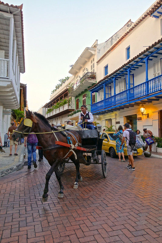 Carriage rides are everywhere in Cartagena