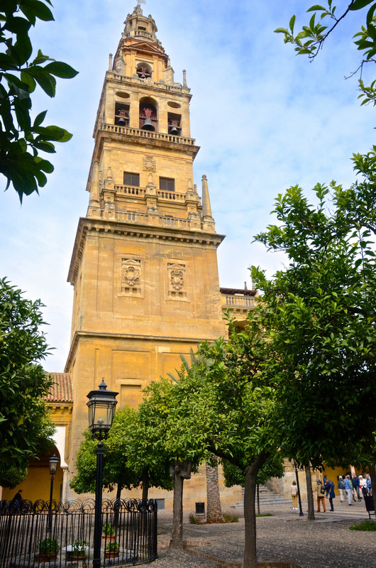 Bell Tower in the Orange Tree Courtyard 
