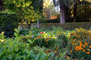 Alhambra gardens in a late fall afternoon 