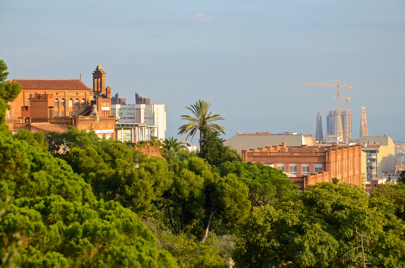 Sagrada Familia from Park Guell 