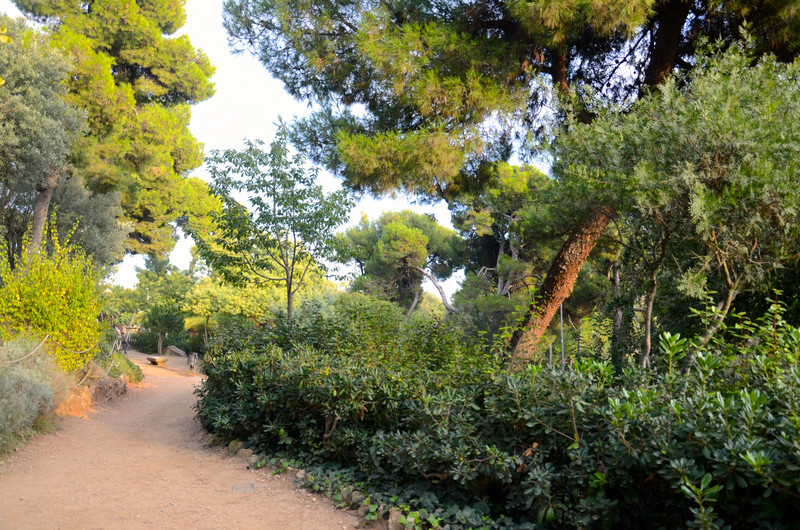 One of the many walks in the large Park Guell