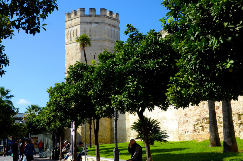 Alcazar wall and octagonal tower, Jerez