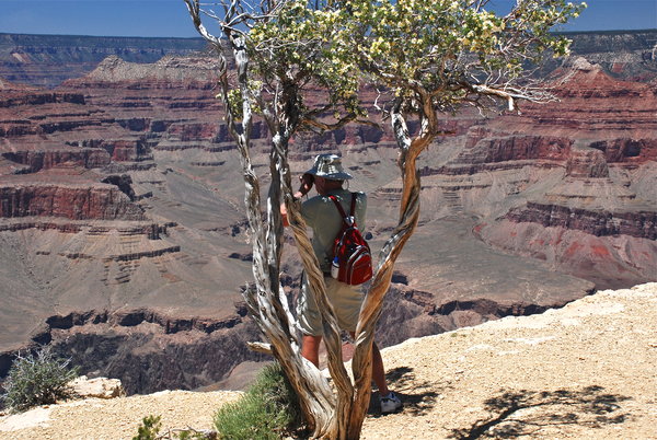 Dave looks for condors at the Grand Canyon
