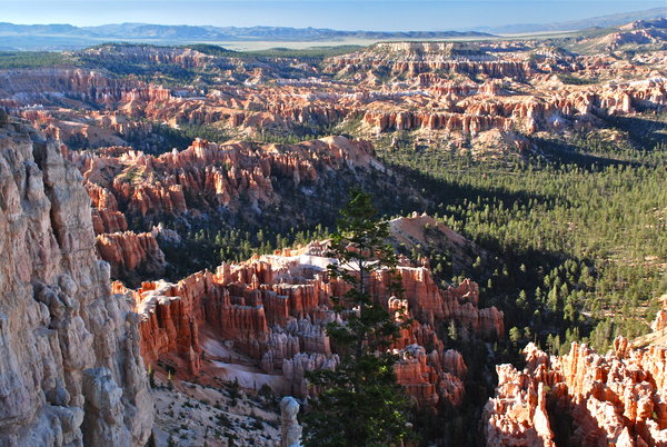 Sunrise Point in Bryce Canyon