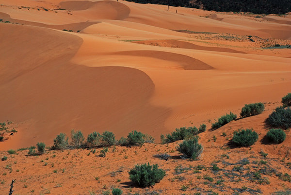Another view of the Coral Sand Dunes