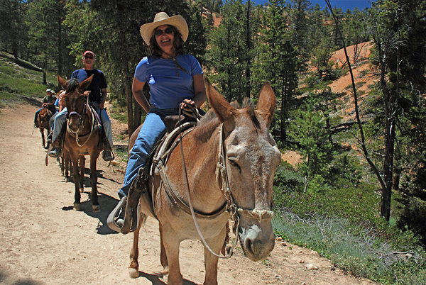 Trail ride in Bryce to the Canyon Floor