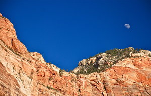 Moon over Zion