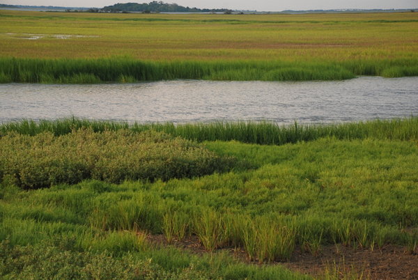 Marshes enroute to Jekyll Island