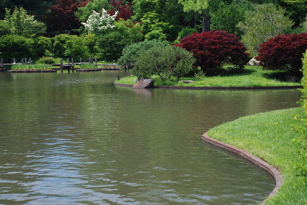Japanese Garden at the St Louis Botanical Gardens