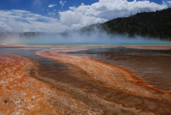 Grand Prismatic Springs at Yellowstone