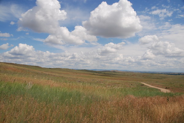 The now peaceful meadow on the site of the Battle of Little Bighorn, MT