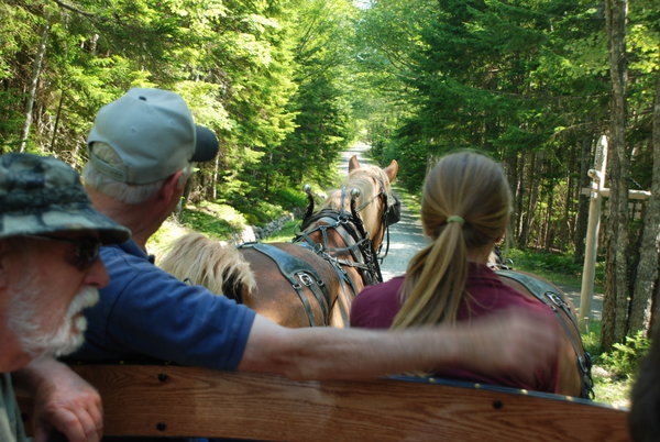 Carriage ride in Acadia National Park