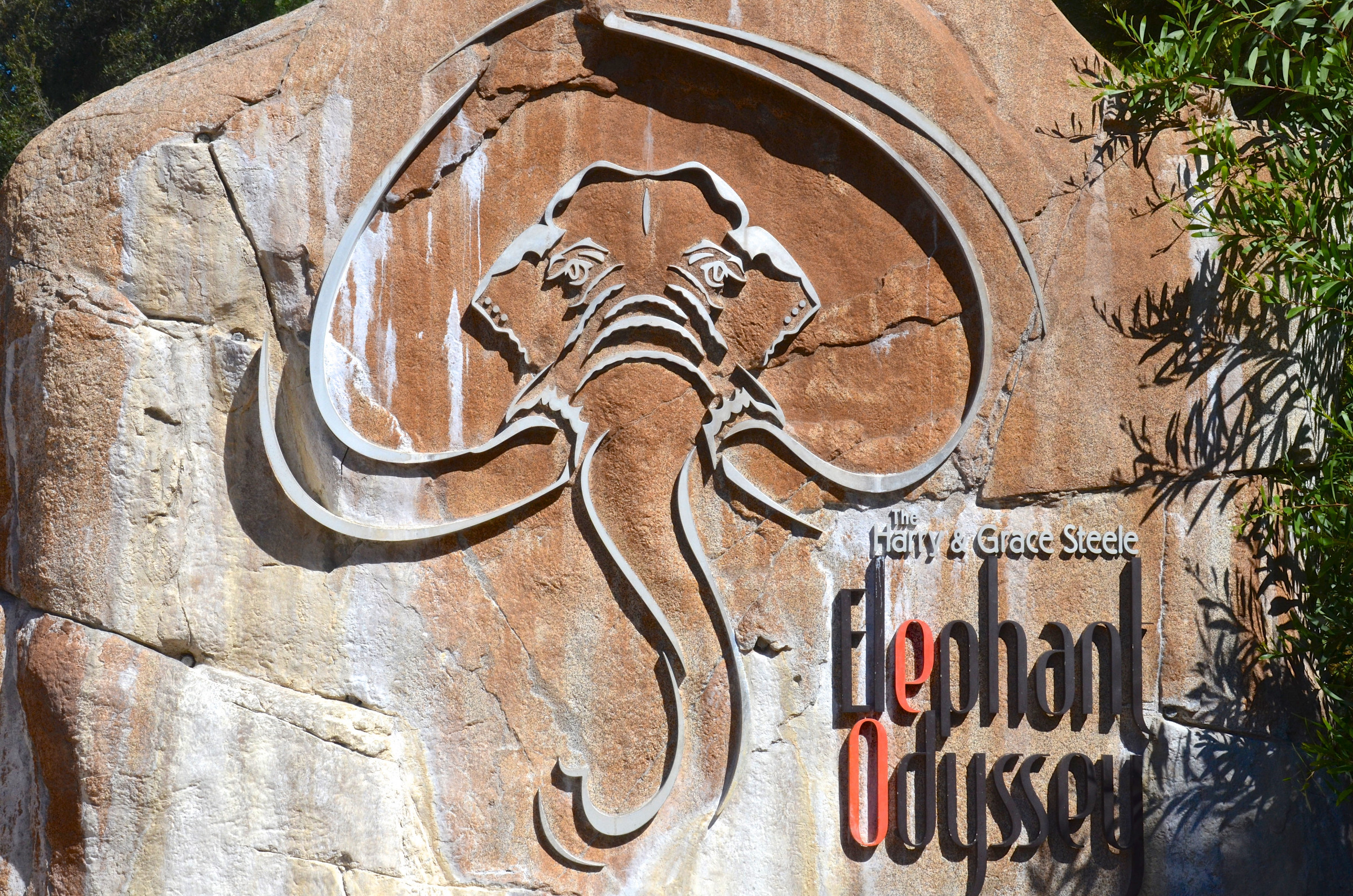 Elephant Odyssey at the San Diego Zoo | Photo