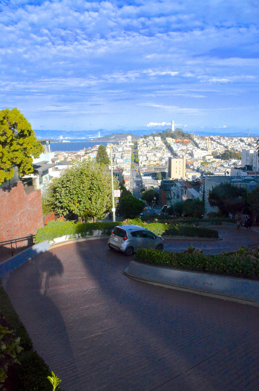 Looking down Lombard, the "crookedest street".