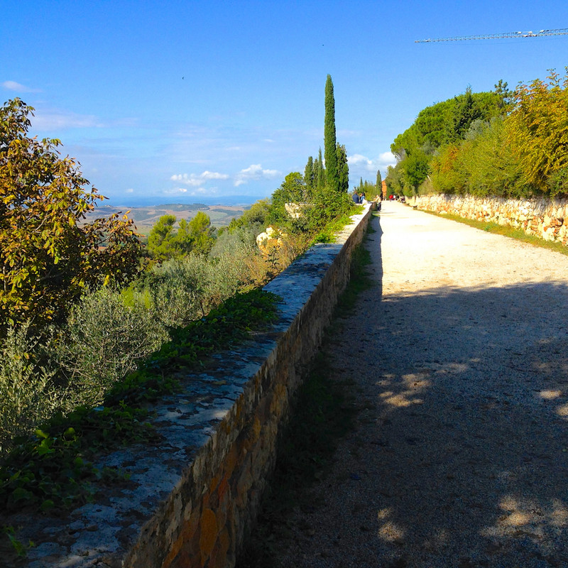Path to viewpoint of Val d' Orcia, Pienza, Italy