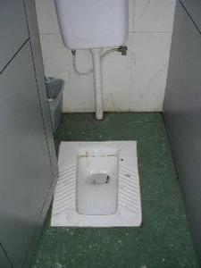 The Asian toilet