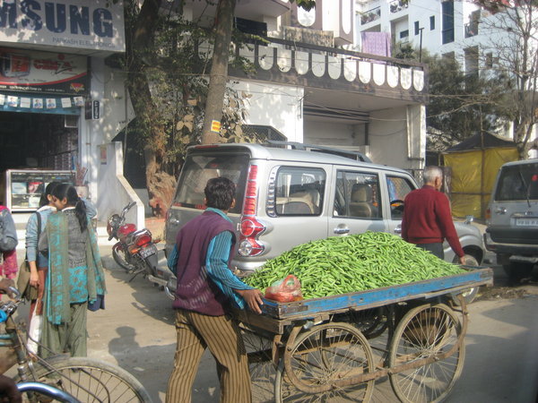 Vegetable Cart - Varanasi