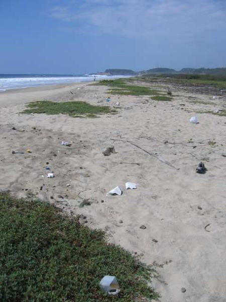 Rubbish on the shoreline