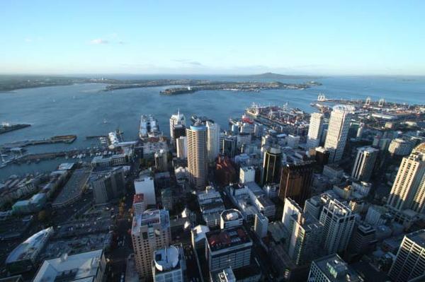 Auckland from the tower