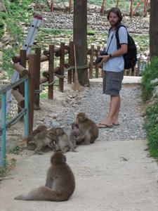 Monkey Park, near Nagano
