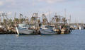 Shrimp boats at Rockport