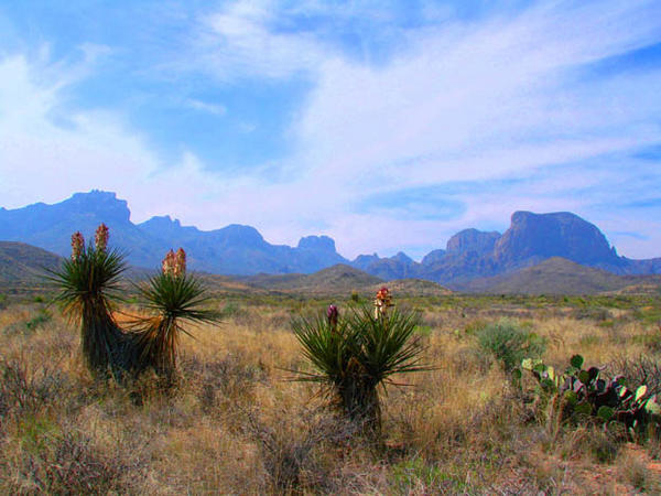 The mountains of Big Bend