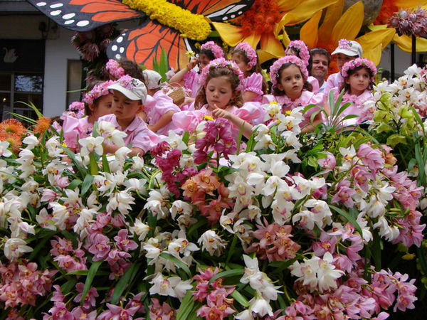 The Flower Festival