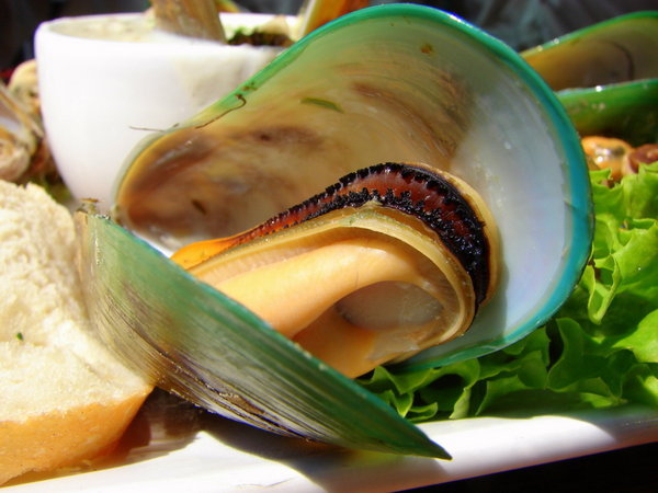 Green Shell Mussels!